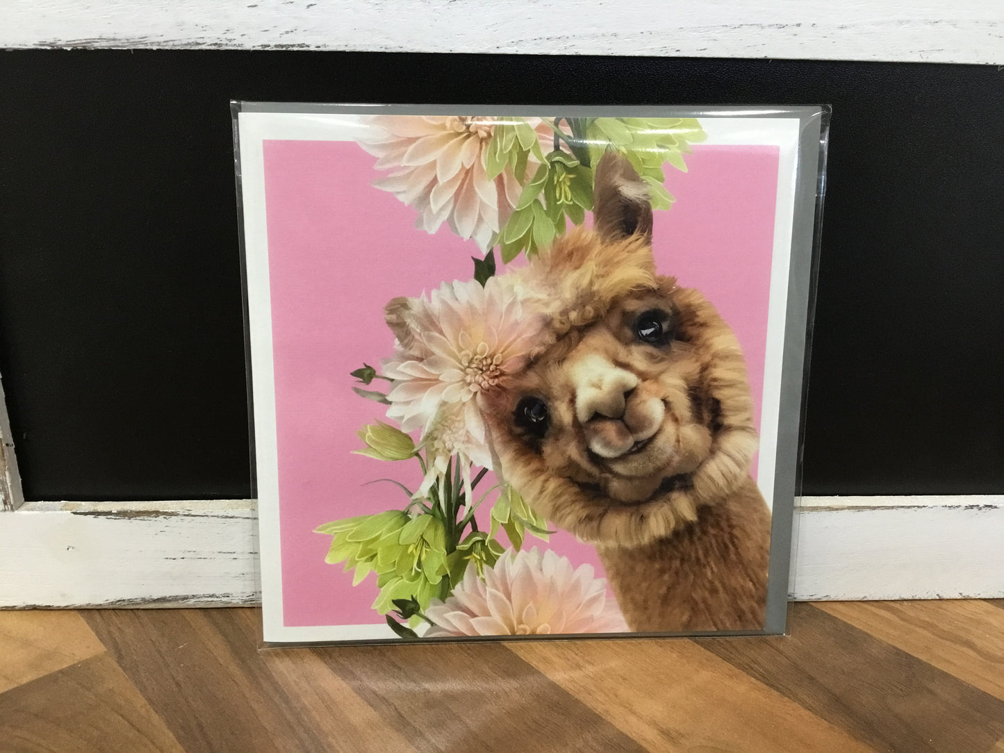 Lola cards