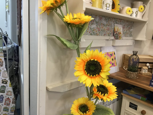 Tall 3 headed sunflower