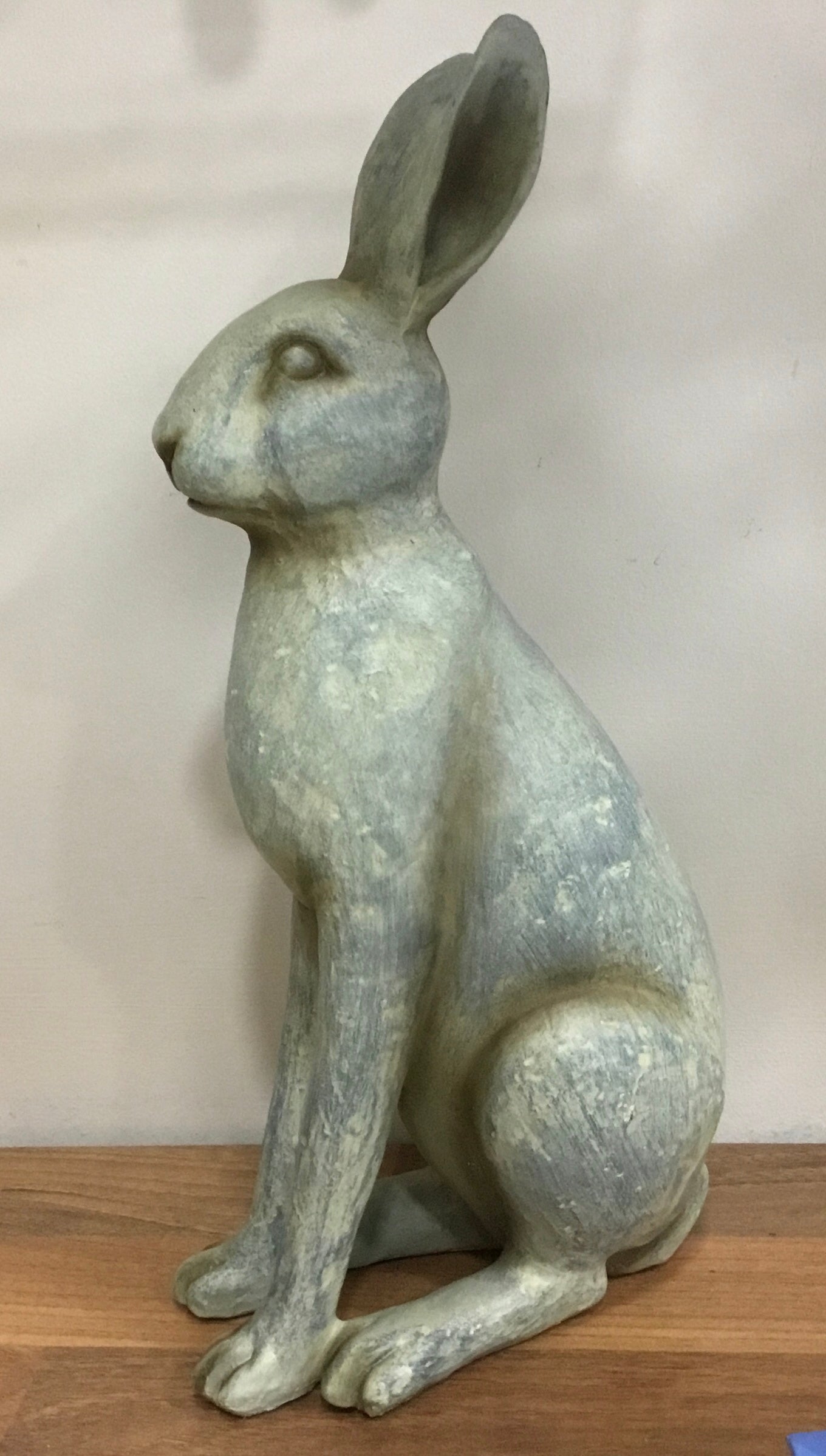 Charming Hare