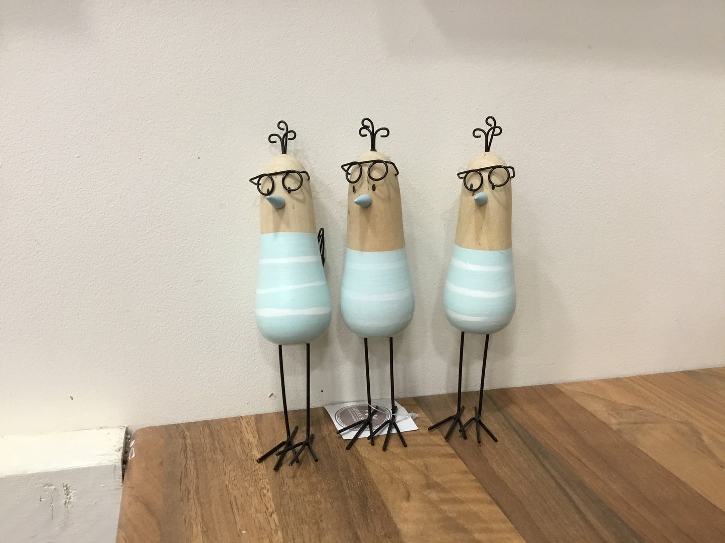 Bird with specs.