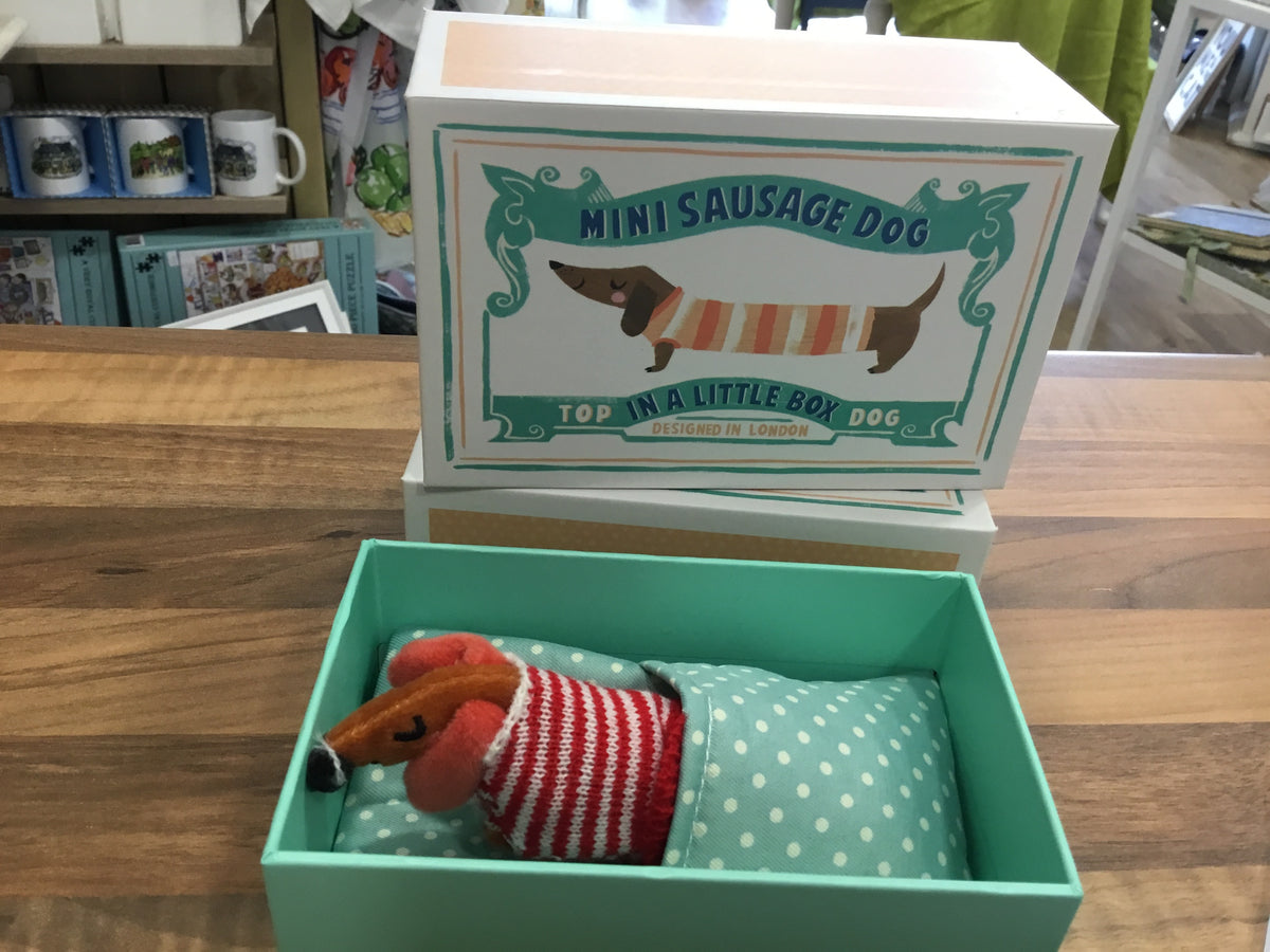 Mini Sausage Dog in Box