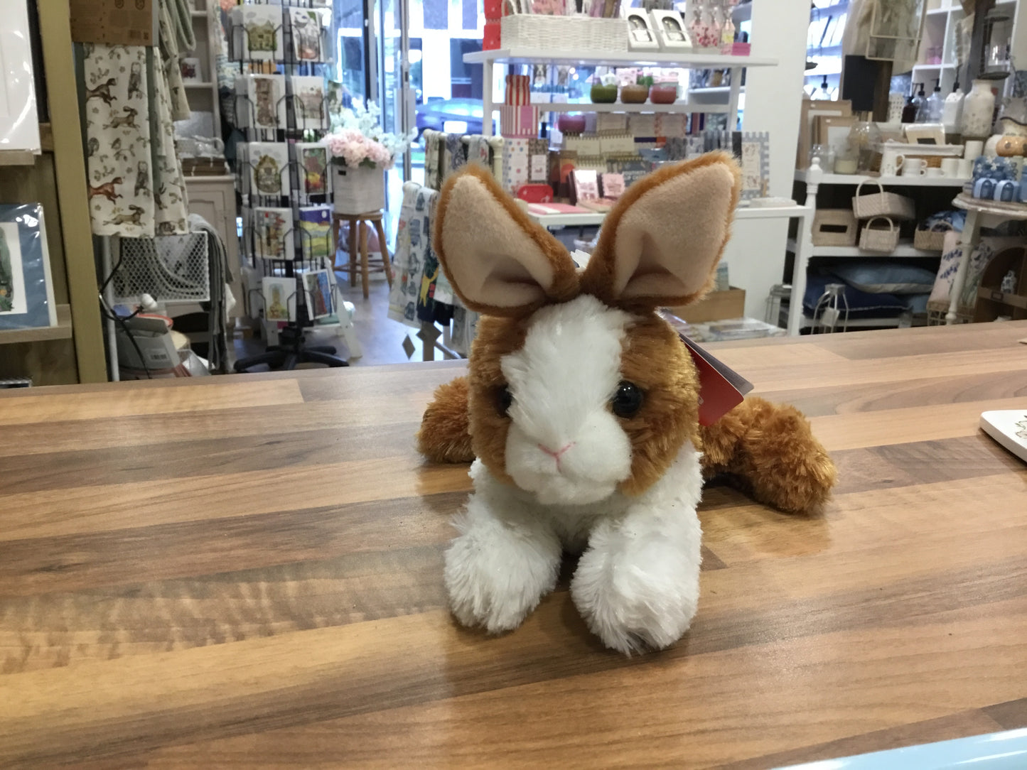Flossie Bunny