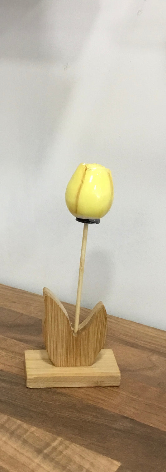 Tulip on wooden base