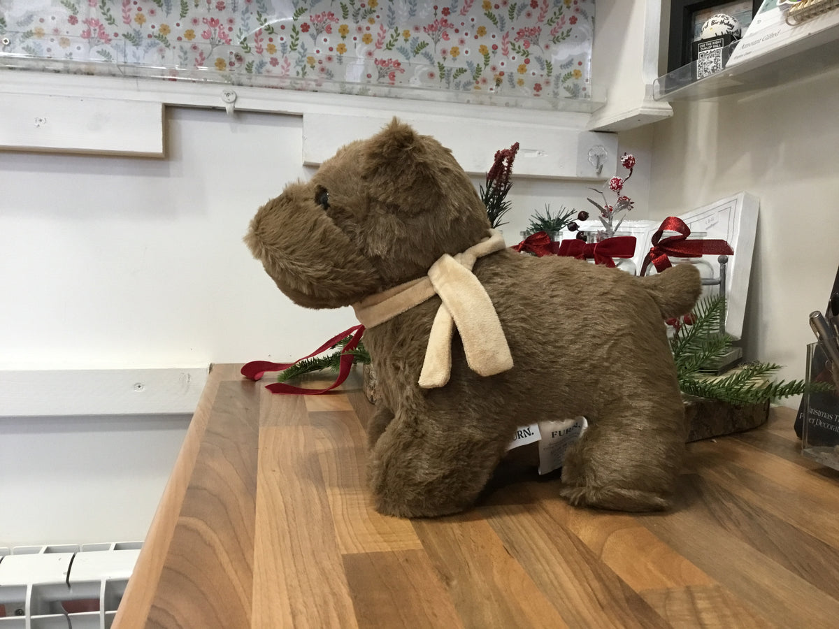 Buddy doorstop