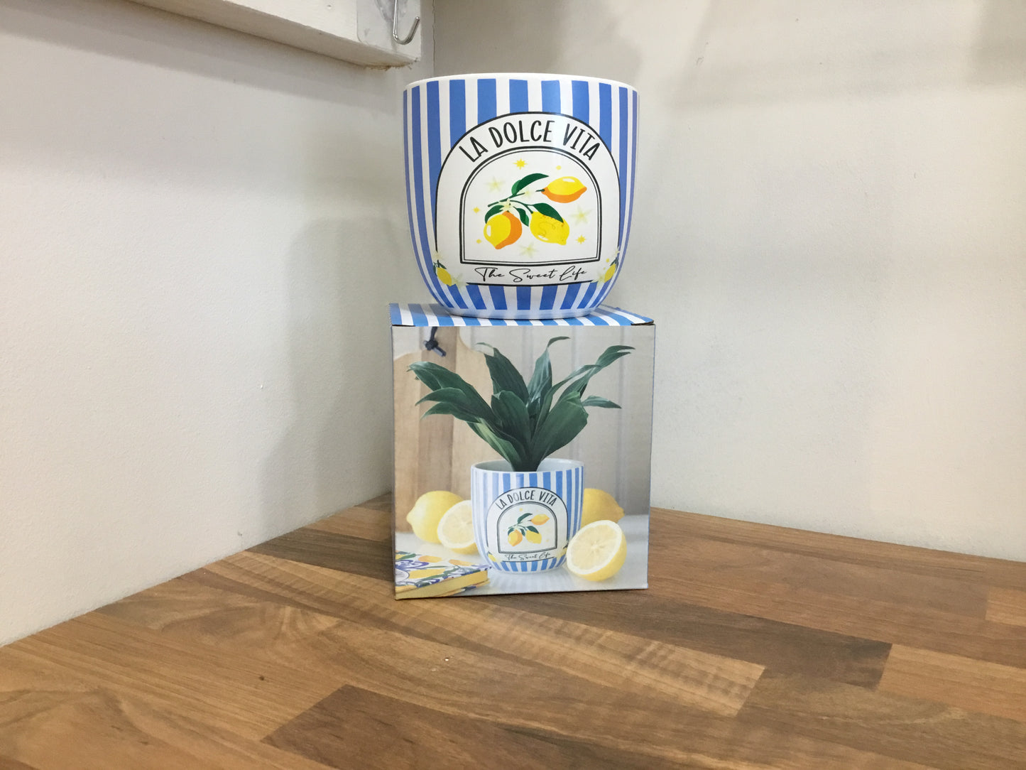 Le Dolce Vita plant pot.