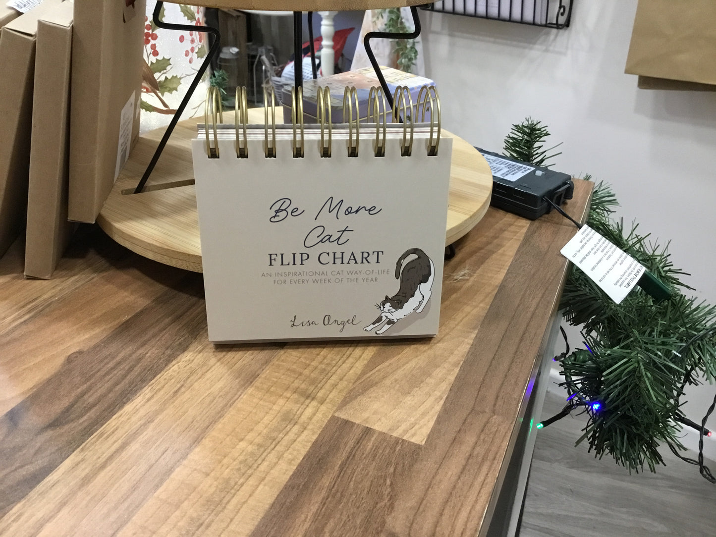 Flip chart. Be more cat.