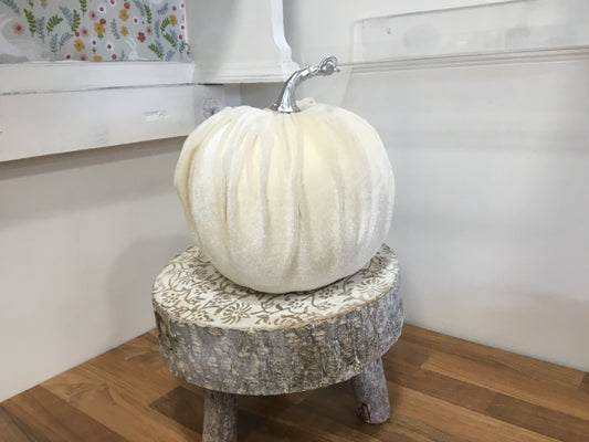 White velvet pumpkin