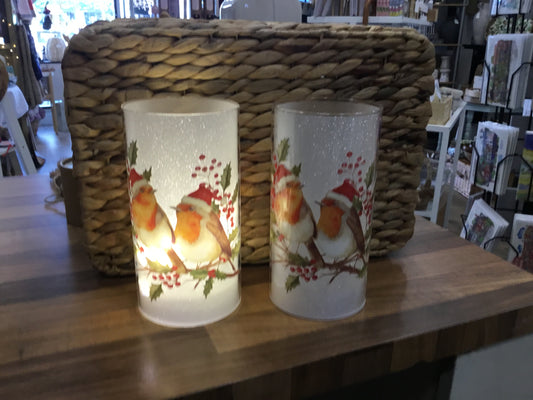 Robin cylinder light