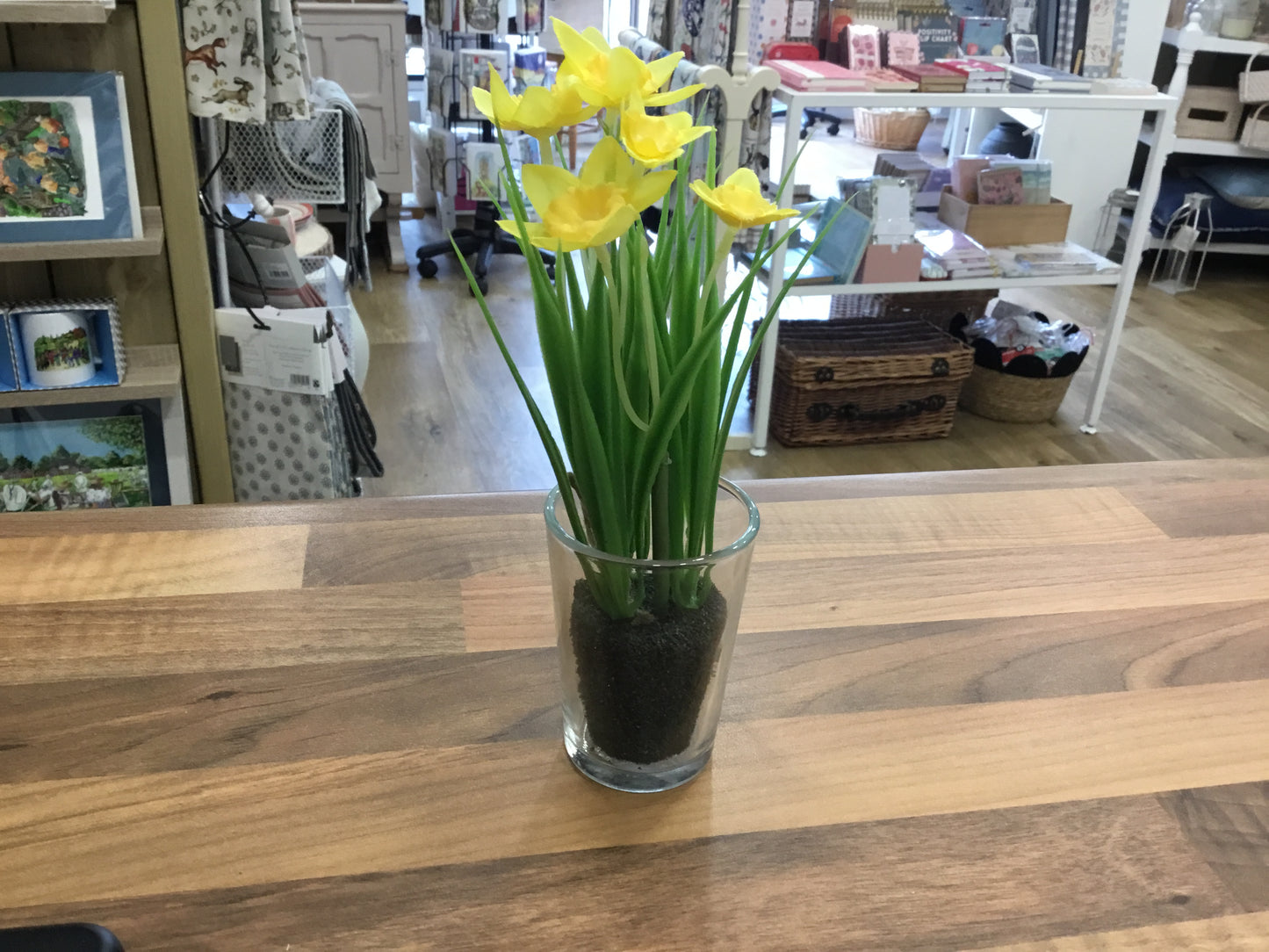 Daffodils in glass pot