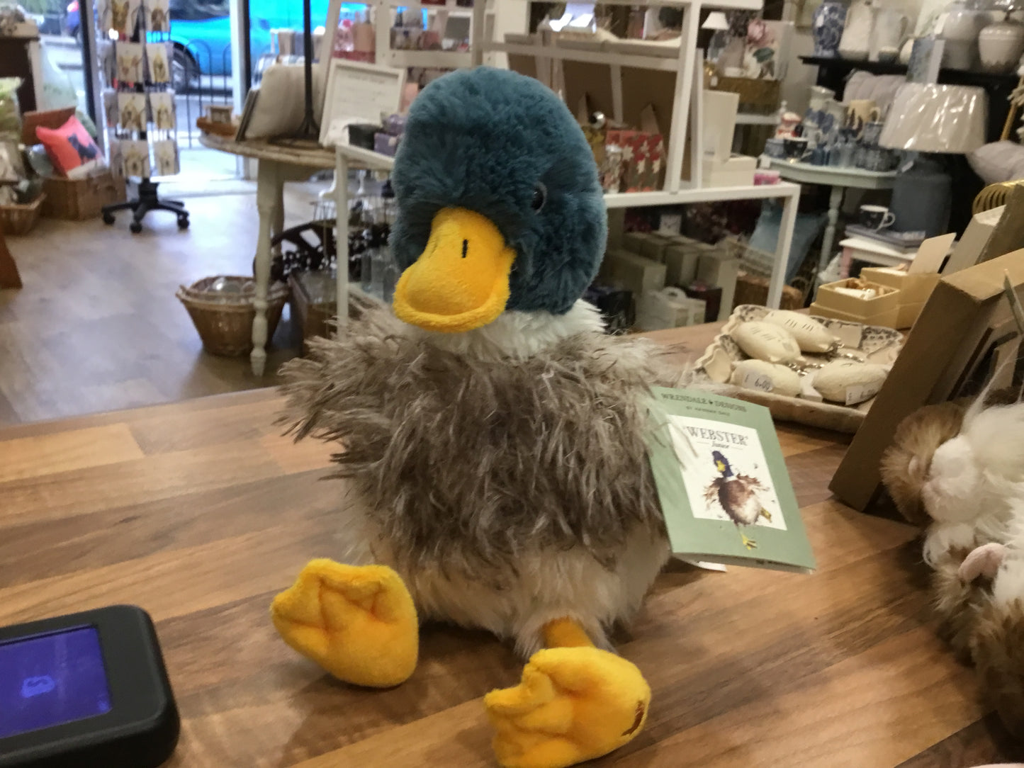 ‘Webster’ Junior by Wrendale Designs