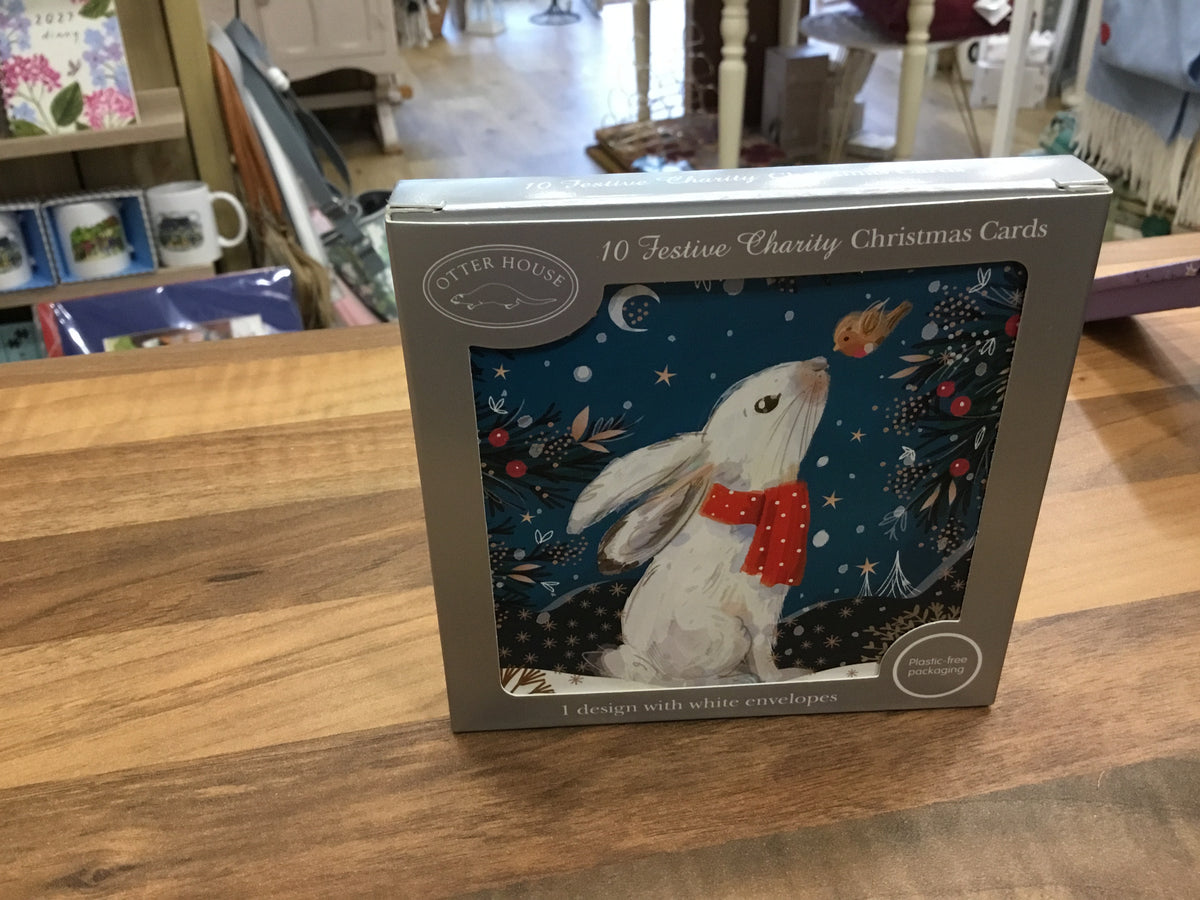 Bunny and Robin pack 10 Christmas cards