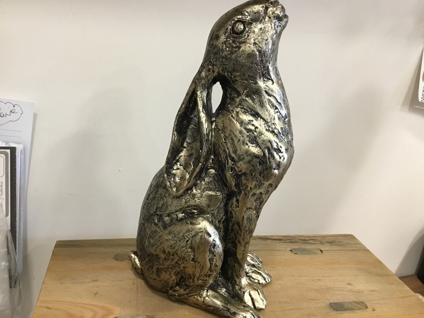 Gazing Hare