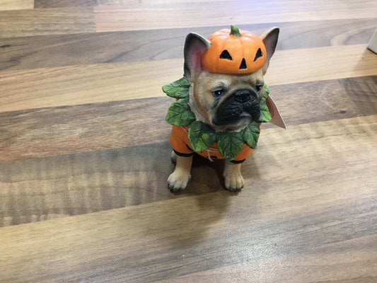 Halloween pumpkin dog