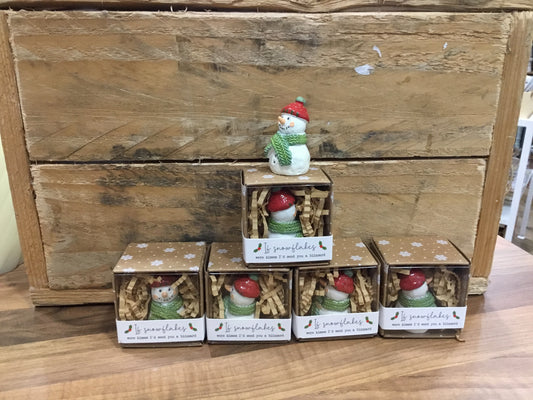 Tiny world Snowman keepsake.