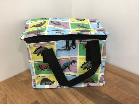 Dinosaur lunch bag