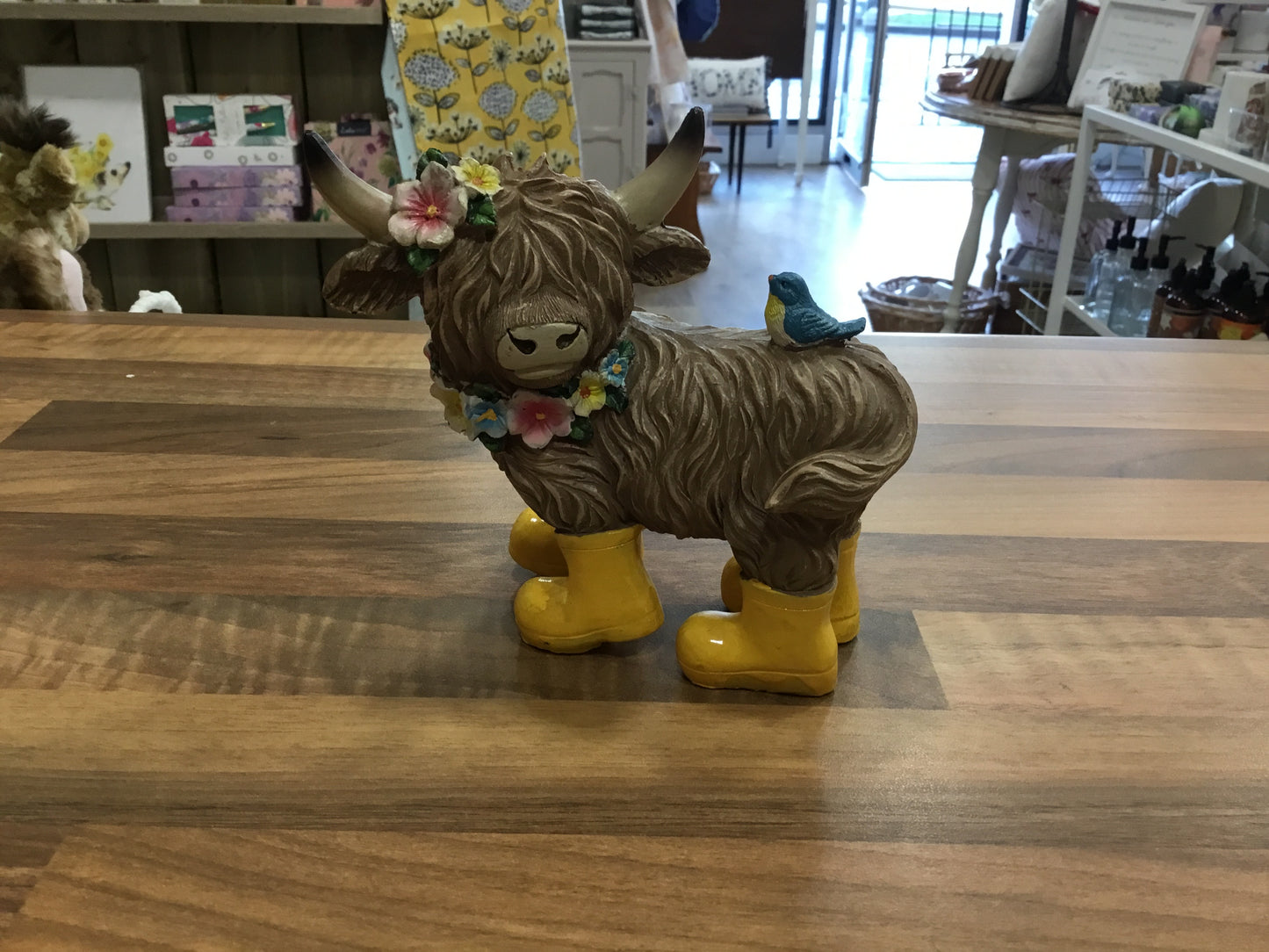 Highland Cow