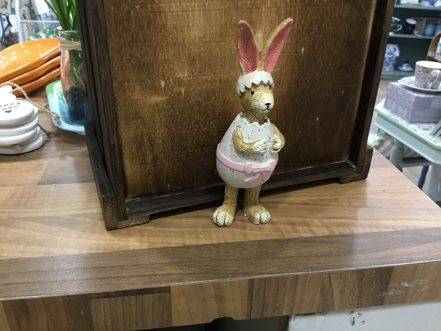Bunny in egg