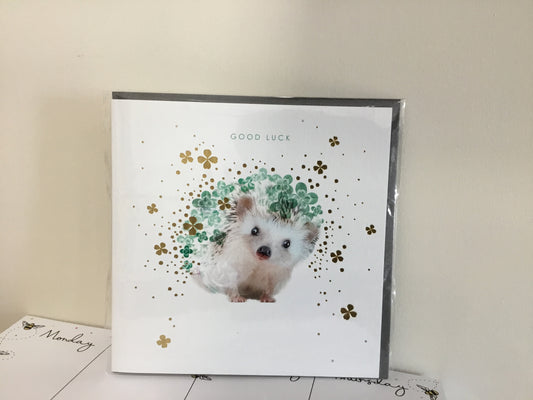 Good luck hedgehog by Lola Design