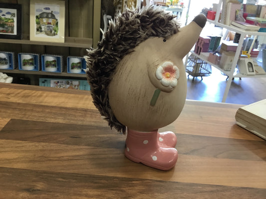 Hedgehog in pink spotty boots