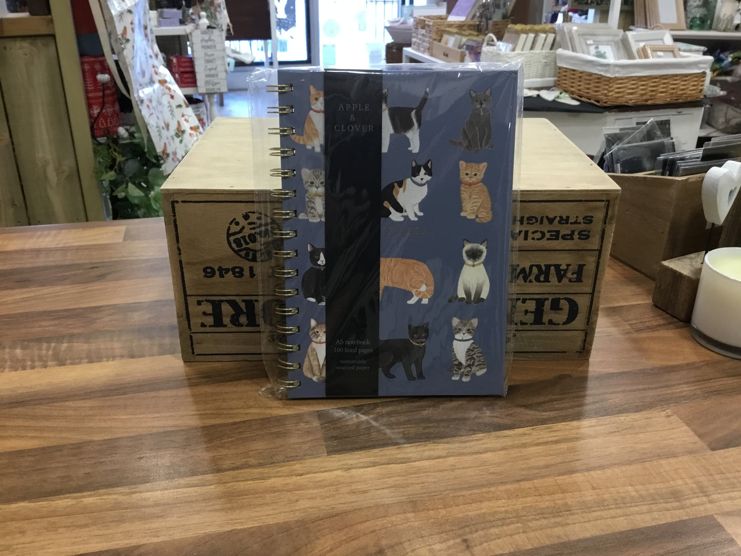 Notebook. Cats Design.