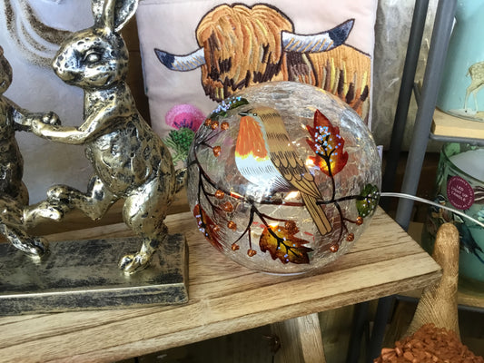 Autumn Robin LED Light up