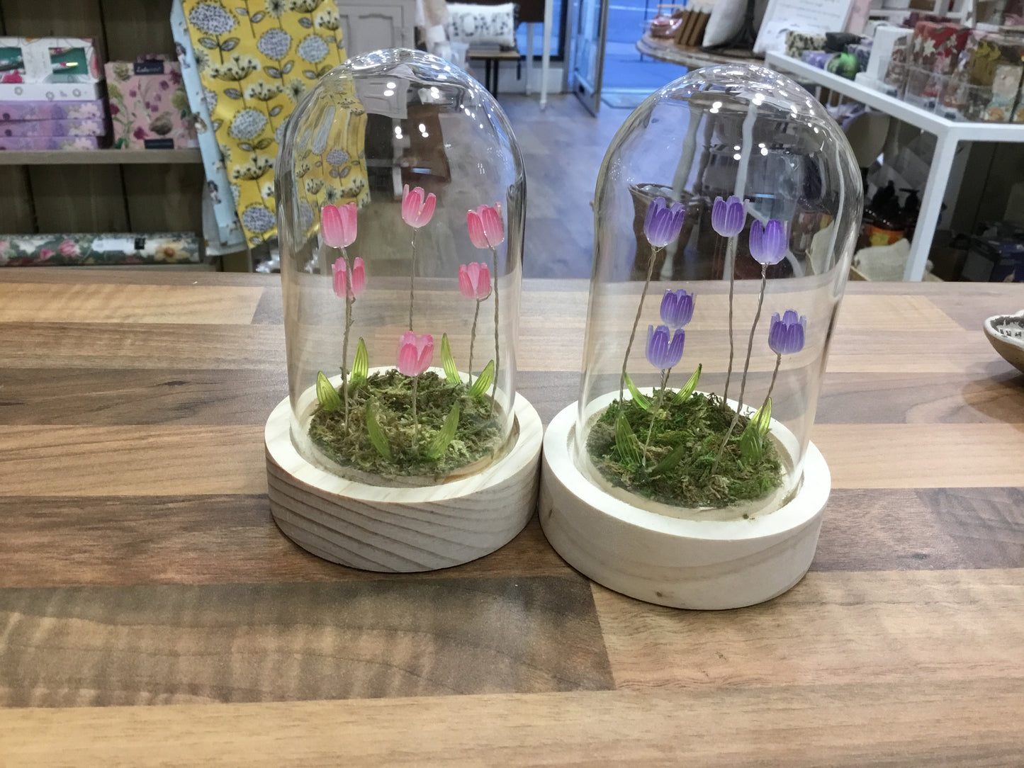 Glass Dome with light up Tulips