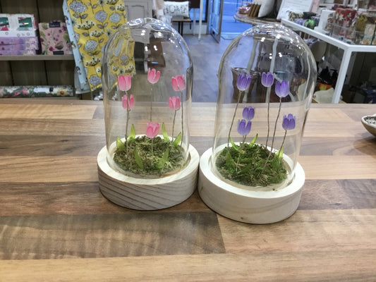 Glass Dome with light up Tulips