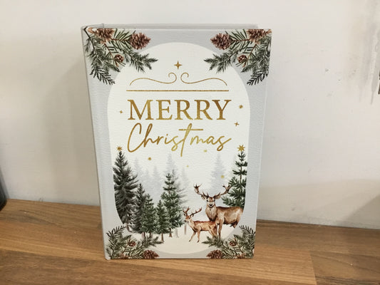 Merry Christmas Wooden storage box