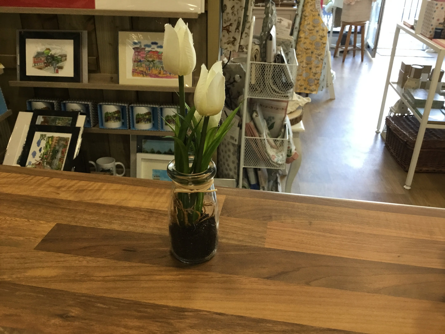 Tulips in glass vase
