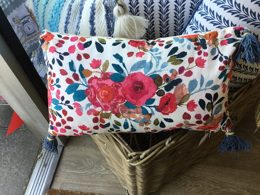 Pink and Blue tassel cushion