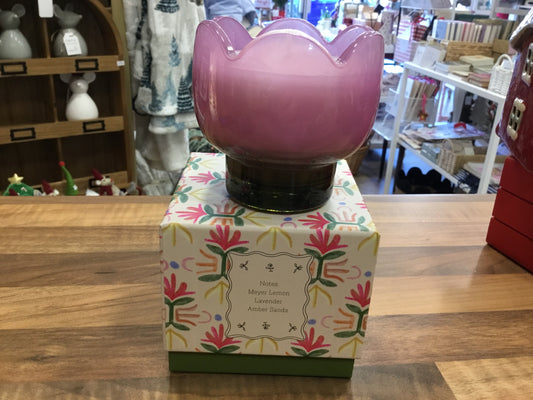 Bronzed Gardenia Candle by Paddywax