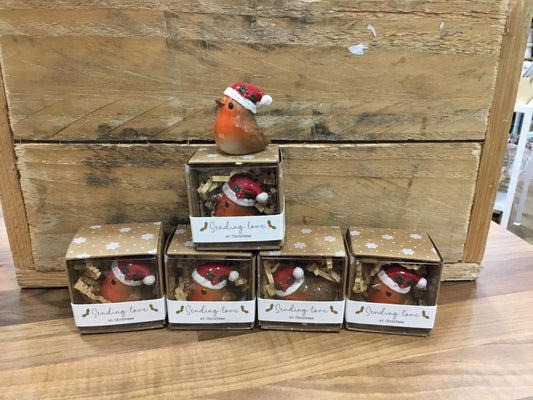 Tiny world Robin keepsake