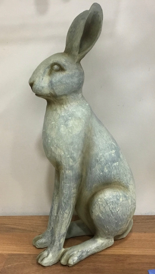Charming Hare
