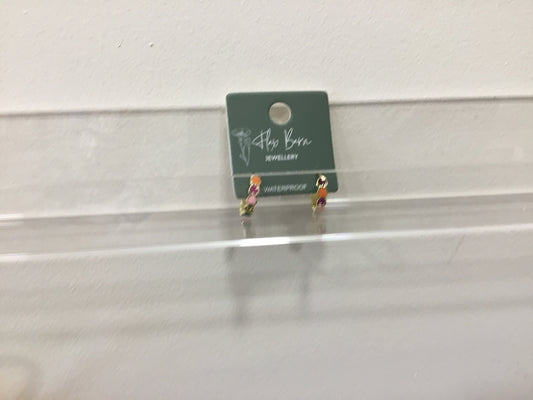 earrings.  Enamel heart earrings multi coloured