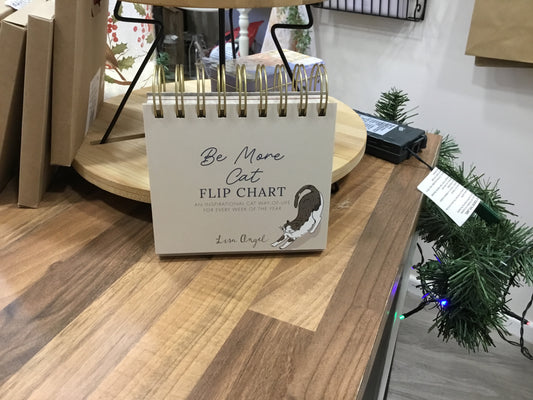 Flip chart. Be more cat.