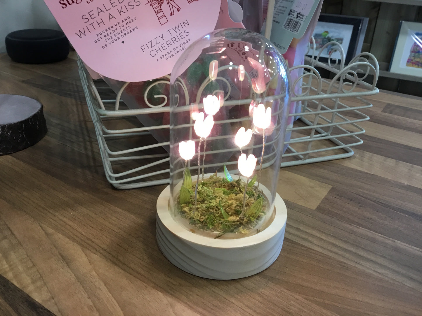 Glass Dome with light up Tulips