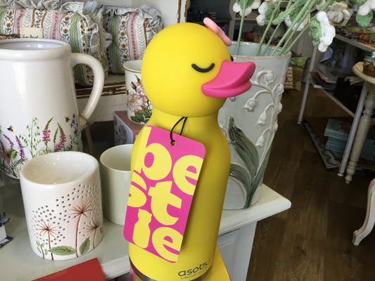 Duck - large water bottle